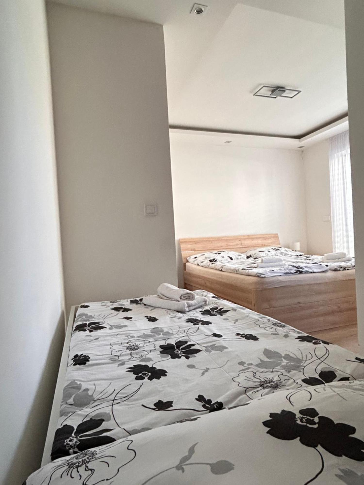 Villa Alex Velka Lomnica Εξωτερικό φωτογραφία